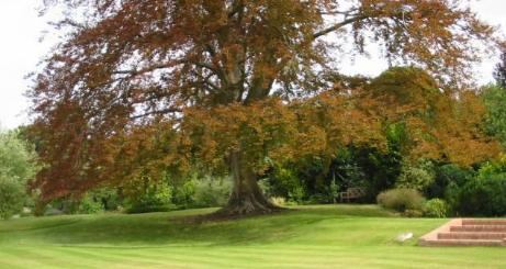 Gärten in England  Hambledon